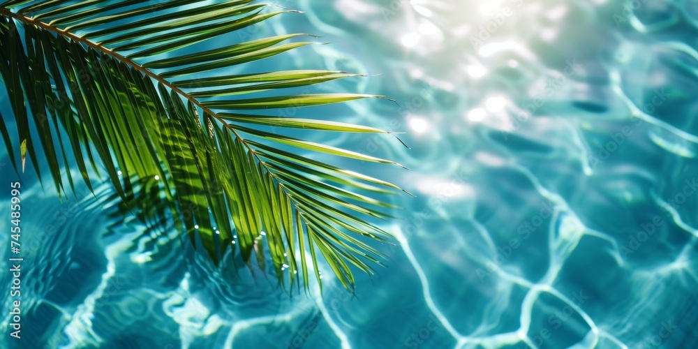 Serenity oasis: a majestic palm tree dancing in the center of a refreshing pool Serenity oasis: a majestic palm tree dancing in the center of a refreshing pool