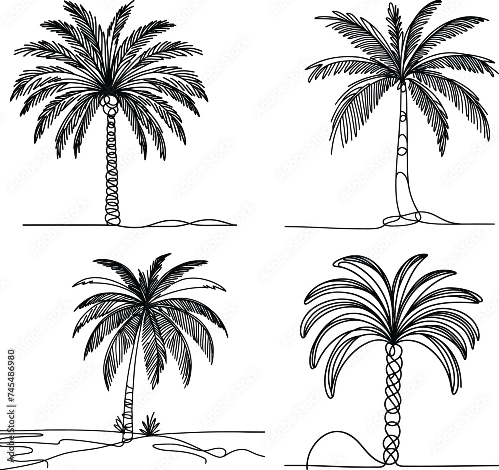 Fototapeta premium palm tree in continuous line drawing minimalist style, food illustration.