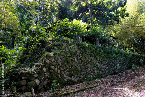 Historical WW2 military bunker building in the jungle of Sokeh's Rock in Pohnpei, Federated States of Micronesia