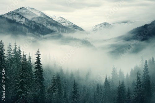 Mountain trees winter. Nature dramatic. Generate Ai © juliars