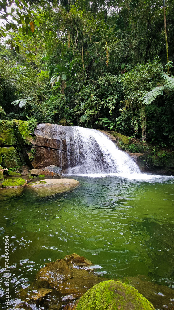 Fototapeta premium waterfall in the forest