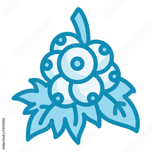 Berries Icon