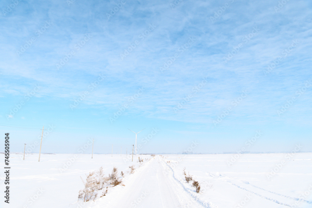 Fototapeta premium 銀世界への雪道