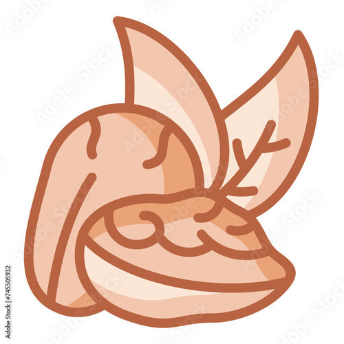 Walnuts Icon