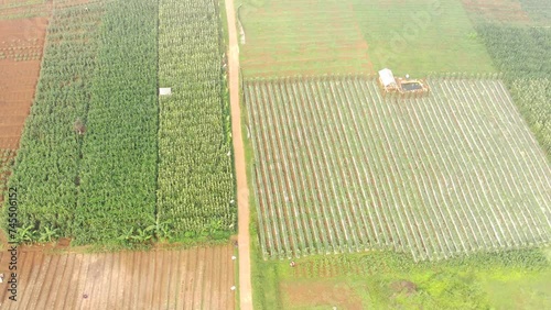 Aerial Footage of Plantation Fields in Cijapati, West Java Province, Indonesia. Landscape view of plantations in the hills. Shot from a drone flying 200 meters high with 4k Resolution 30fps Video photo