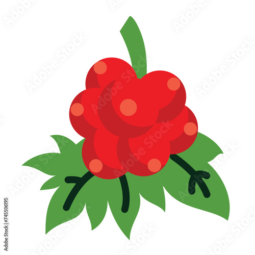 Berries Icon