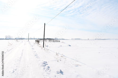 銀世界への雪道 © 秋実 鶴谷