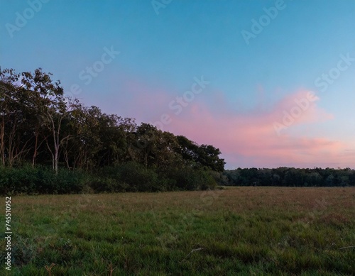 Capture the moment when the forest meets an open field. The sky blushes with pink and orange