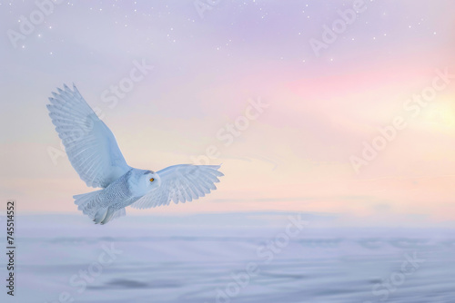 A snowy owl in flight against a twilight Arctic sky