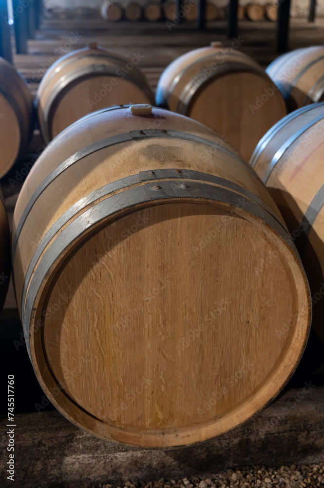 WIne celler with french oak barrels for aging of red wine made from Cabernet Sauvignon grape variety, Haut-Medoc vineyards in Bordeaux, left bank Gironde Estuary, Pauillac, France WIne celler with french oak barrels for aging of red wine made from Cabernet Sauvignon grape variety, Haut-Medoc vineyards in Bordeaux, left bank Gironde Estuary, Pauillac, France