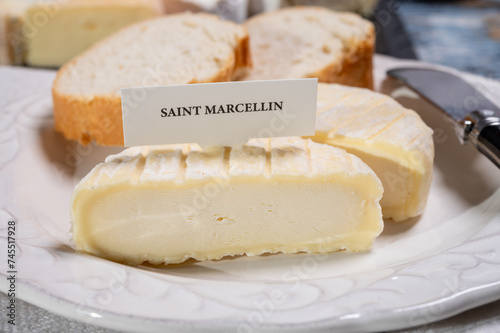 French cheeses collection, Saint-Marcellin cow's milk cheese with white mold from Rhône-Alpes region of France