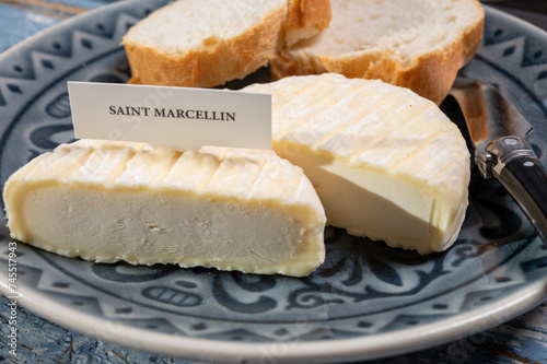 French cheeses collection, Saint-Marcellin cow's milk cheese with white mold from Rhône-Alpes region of France