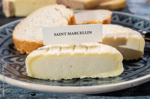 French cheeses collection, Saint-Marcellin cow's milk cheese with white mold from Rhône-Alpes region of France