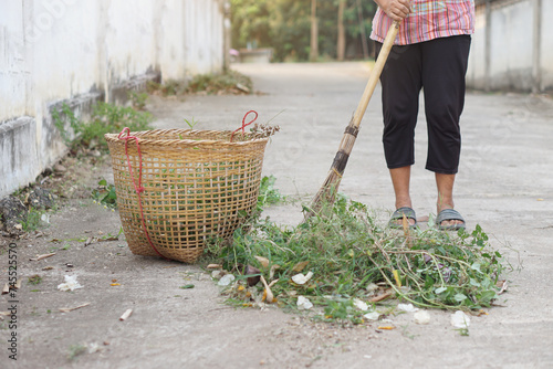 Close up woman is sweeping dry leaves and weed byusing stick broom, keep into basket to for throw away garbage. Concept, community service, get rid of grass and garbage beside street.