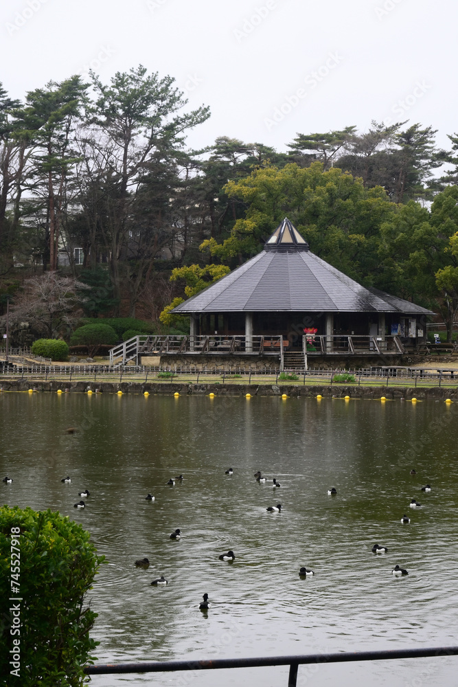 Obraz premium 千葉公園