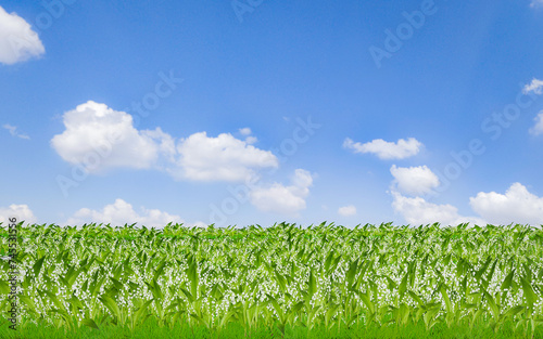 Rice field, Rice ears in the rice field are golden yellow, ripe and ready to be harvested. Images for making background or wallpaper related to agriculture 3D Rendering.