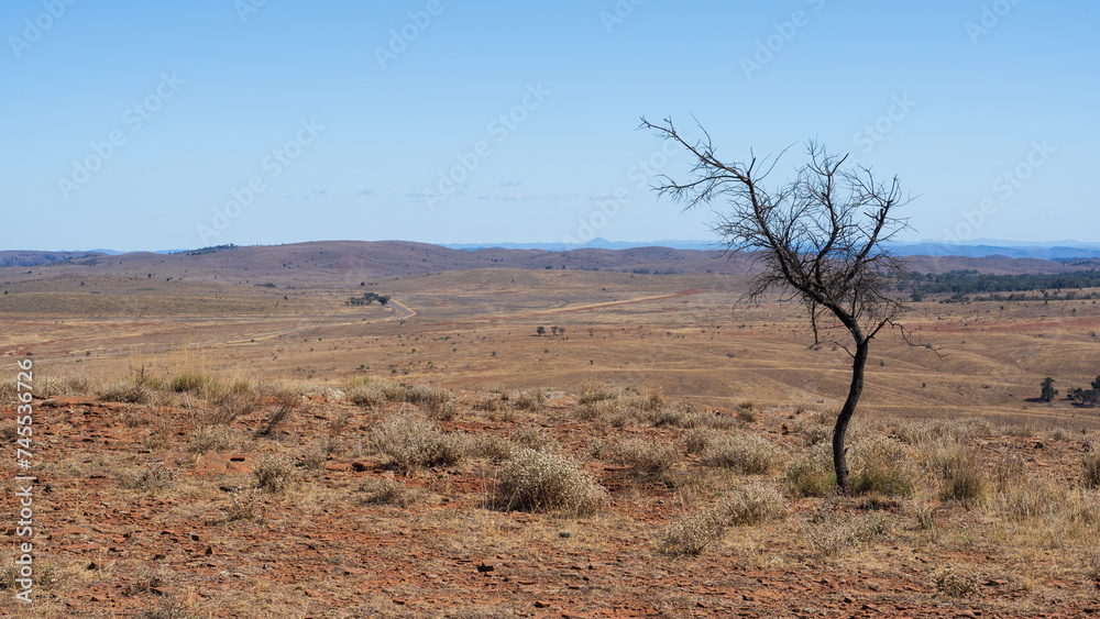 Scenery from the Stokes Hill lookout area of the Flinders Ranges