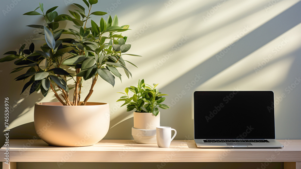 Minimalist desk organizer with a single potted plant, fostering an organized and refreshing workspace