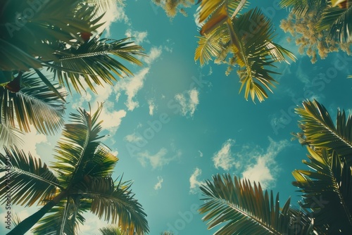 Tropical paradise view from below with lush palms against a retro-inspired sky
