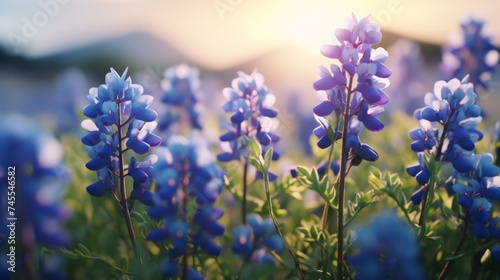 Generative AI Close-up view capturing the delicate beauty of blooming bluebonnets in a field of spring wildflowers.