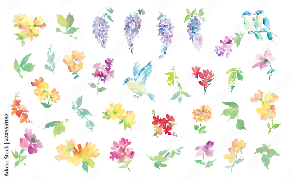 水彩で描いた抽象的な藤の花と草花の背景用イラスト素材セット	
