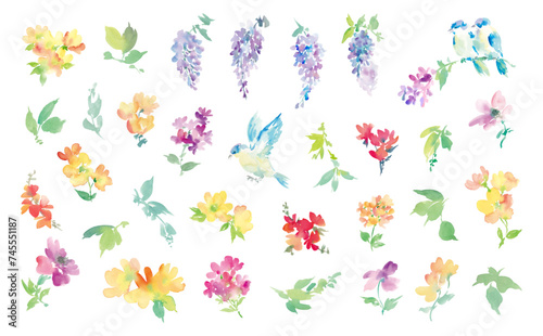 水彩で描いた抽象的な藤の花と草花の背景用イラスト素材セット © Sawango