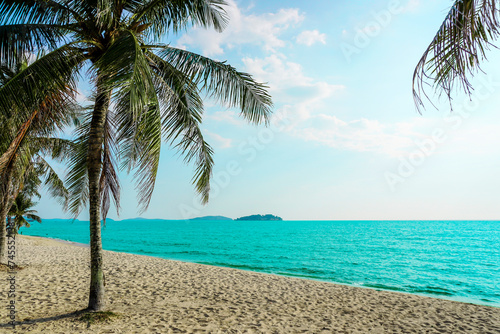 Beach in Sihanoukville. Palm trees and blue sea