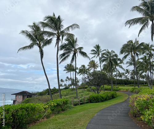 Fototapeta Naklejka Na Ścianę i Meble -  Maui, Hawaii - Palm trees on the beach
