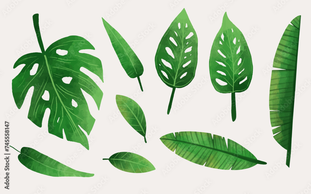 Tropical leaves plant summer element