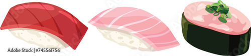 Maguro, Toro, Negi Toro nigiri. Tuna, Fatty Tuna  ,scallions and fatty tuna sushi. Sushi illustration. Japanese illustration vector.