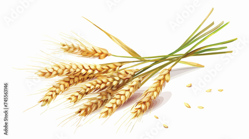 Wheat Food Natural Vector Illustration Graphic Design
