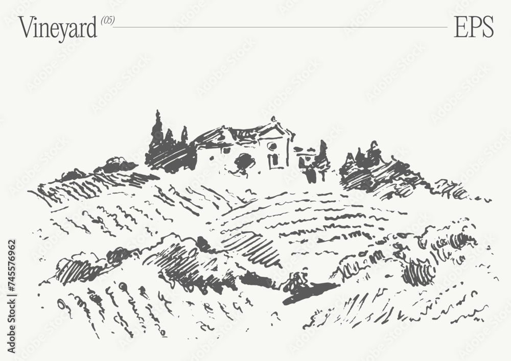 Fototapeta premium Vineyard Landscape. Vintage wine Label Background. Hand drawn vector illustration, sketch.
