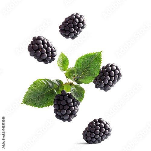 Ripe Blackberries falling in air with Blackberry leaves, Healthy organic berry natural ingredients concept, AI generated, PNG transparency with shadow