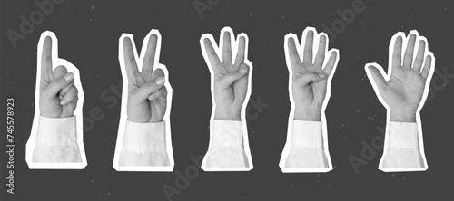 Black and white hand in a white shirt shows fingers gesture. Counting from one to five - elements for collage. Vector illustration