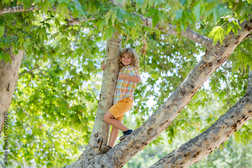 Cute little kid boy enjoying climbing on tree on summer day. Cute child learning to climb, having fun in forest or park on sunny day. Happy time and childhood in nature.