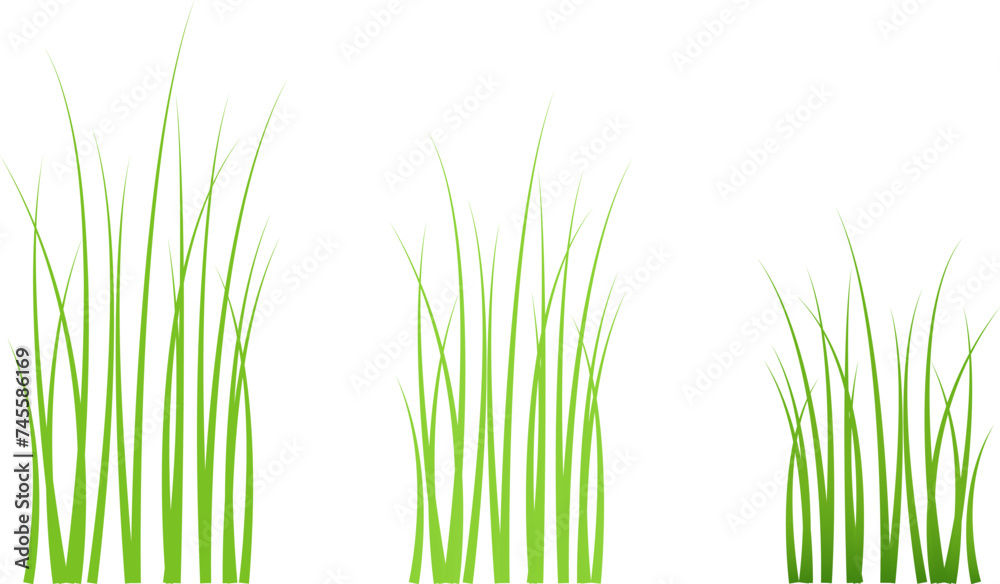 Fototapeta premium Green grass meadow border vector pattern. Spring summer plant field lawn. Grass background Vector illustration.