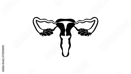 Uterus, female reproductive system, black isolated silhouette