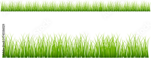 Green grass meadow border vector pattern. Spring summer plant field lawn. Grass background Vector illustration.