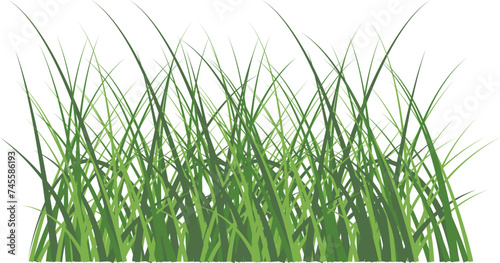 Green grass meadow border vector pattern. Spring summer plant field lawn. Grass background Vector illustration.