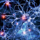 The deep intricate network of neurons communicating through electrical impulses