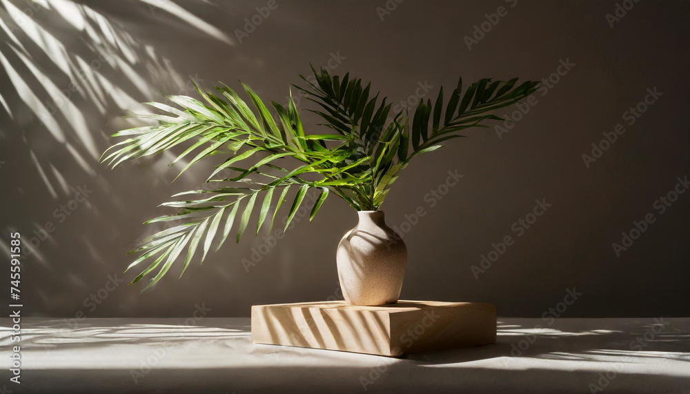 Green Aesthetics: Plant Shadow Backdrop Enhancing Product Display Green Aesthetics: Plant Shadow Backdrop Enhancing Product Display