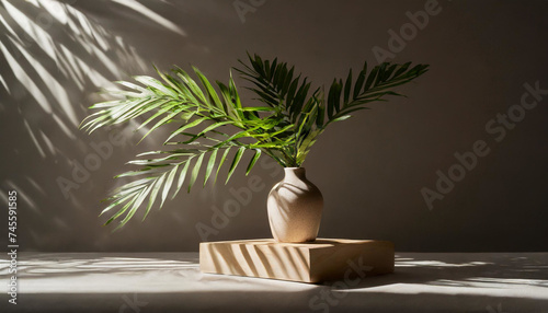 Green Aesthetics: Plant Shadow Backdrop Enhancing Product Display