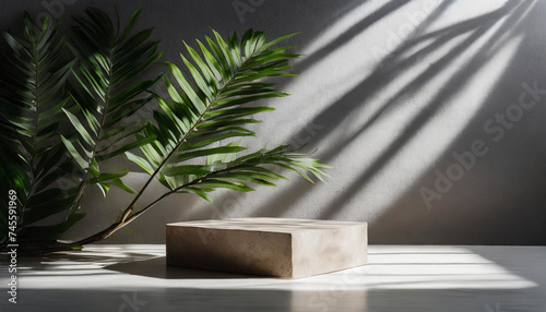Soothing Serenity  Aesthetic Plant Shadows for Product Showcase