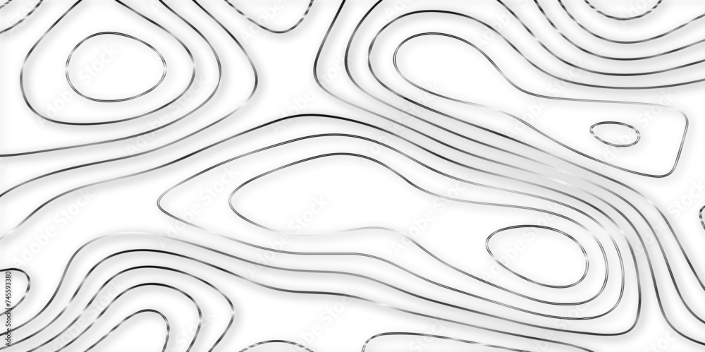 Abstract topographic contours 3d map background .topographic line texture background .monochrome image .stylized height of the topographic map contour in lines. Abstract topographic contours 3d map background .topographic line texture background .monochrome image .stylized height of the topographic map contour in lines.
