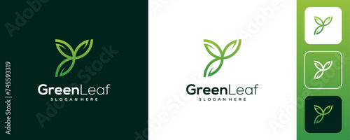 Letter Y with leaf logo vector Illustration element photo