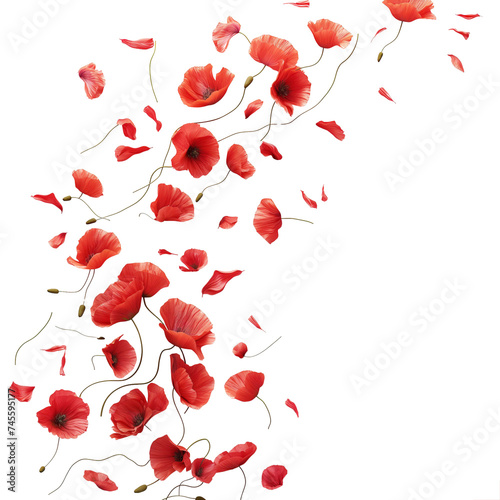 Petals poppy falling in the air, Beautiful flower in nature concept, AI generated, PNG transparent