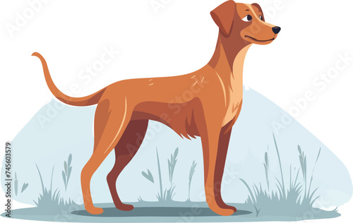 Illustration of a Rhodesian Ridgeback dog standing in the grass