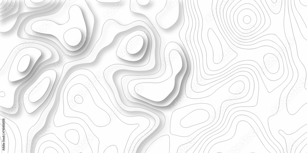 The stylized height of the topographic map in contour, lines. Topography and geography map grid abstract backdrop. creative cartography illustration. Black and white landscape geographic pattern. The stylized height of the topographic map in contour, lines. Topography and geography map grid abstract backdrop. creative cartography illustration. Black and white landscape geographic pattern.