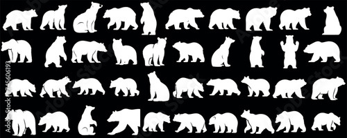 Polar Bear silhouette collection, diverse poses, ideal for logos, emblems, wildlife themed designs, majestic animal stances, bear vector art photo