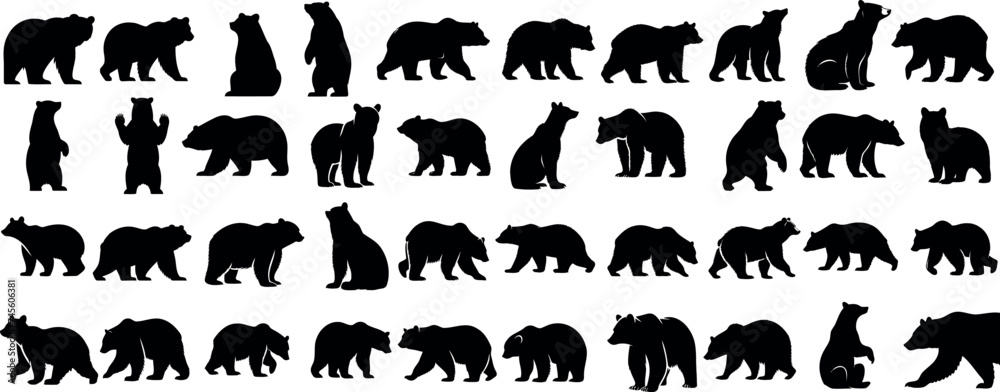 Bear silhouette, various poses of bear, standing, walking, sitting, wildlife, nature, animal, black, outline, wild, mammal, grizzly bear collection - obrazy, fototapety, plakaty 